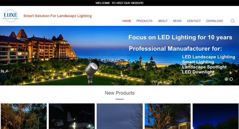 ZY LIGHTS 电脑版